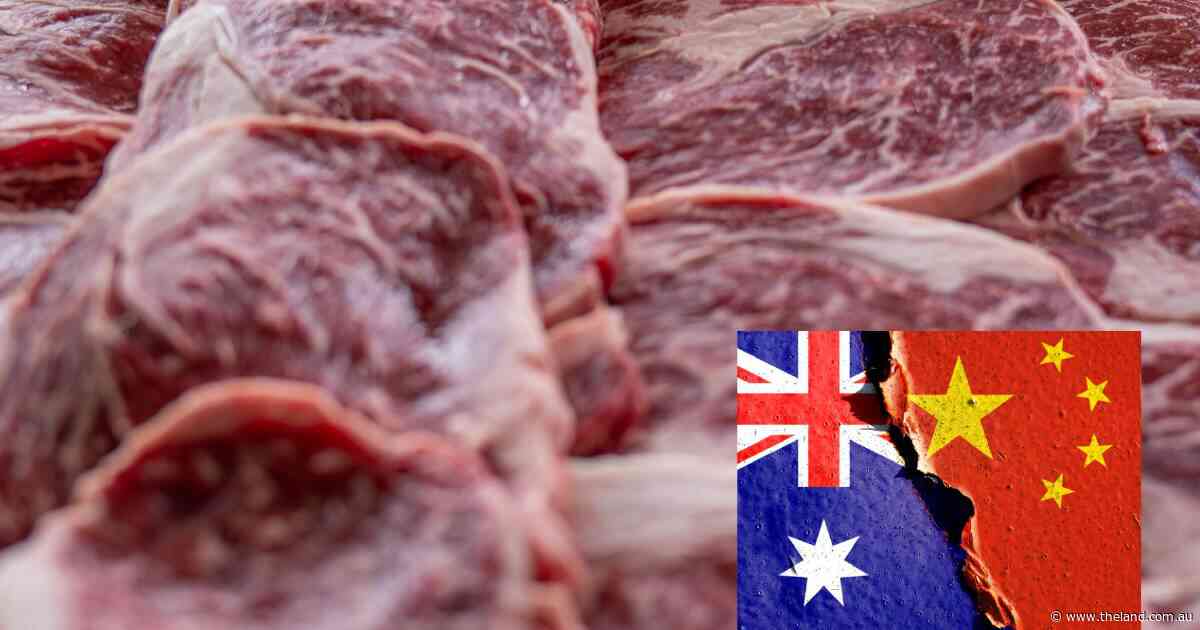 Exporters scramble as China tariff nears but analysts say there is good news