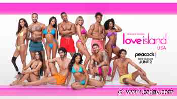 ‘Love Island’ Cast Season 8: Who’s Who in the Villa