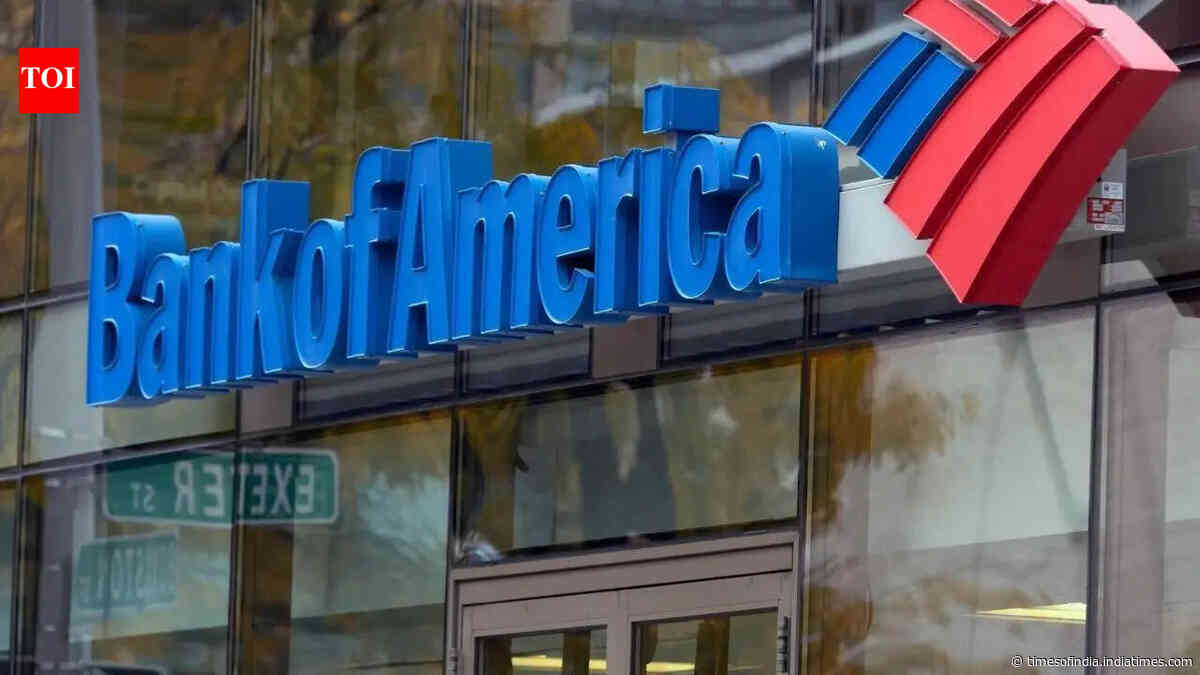 Interest in India strong despite volatility: Bank of America chief
