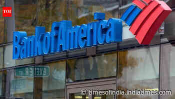 Interest in India strong despite volatility: Bank of America chief