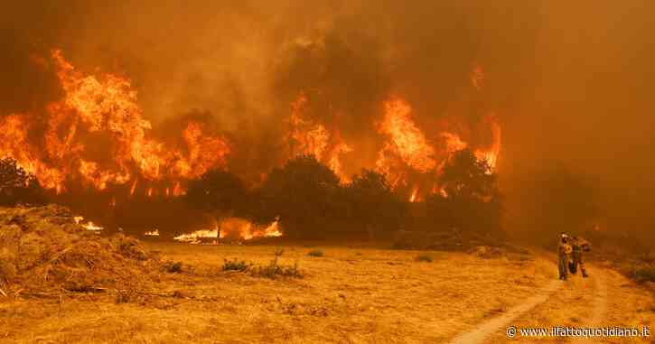 Cosa aspettarsi da El Niño, dove colpirà e perché assomiglia a quello del 1877 che uccise oltre 50 milioni di persone