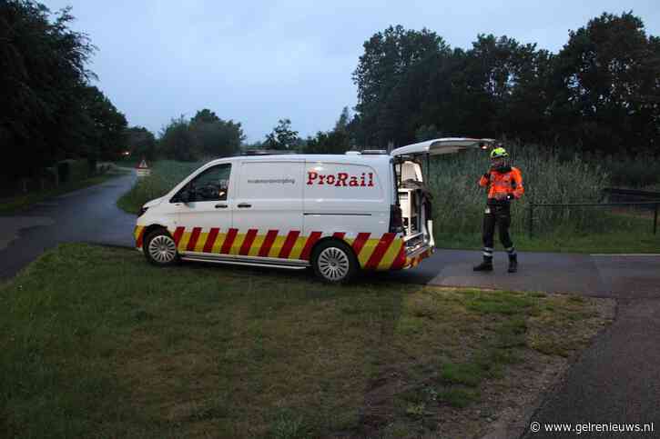 Trein botst op boom die op spoor ligt