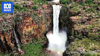 Tour operators brace for Kakadu site closures 'like COVID all over again'