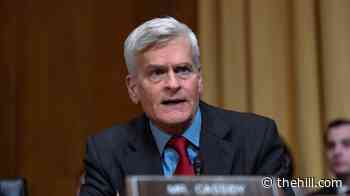 Cassidy yells for Trump to 'get engaged' on medical debt in Senate speech