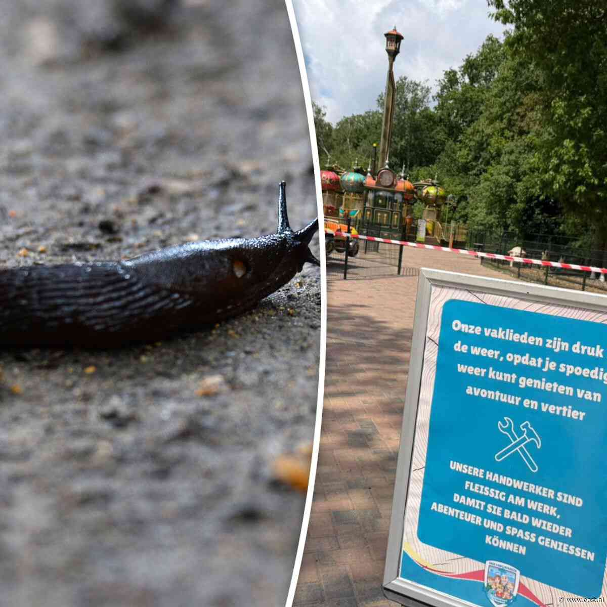 Naaktslakken leggen aantal attracties van De Waarbeek stil