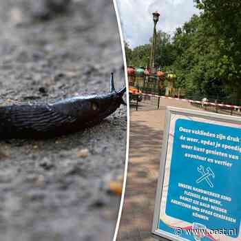 Naaktslakken leggen aantal attracties van De Waarbeek stil