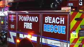 Baby alligator bites man, 78, releasing turtle at Pompano Beach lake, Fire rescue says