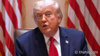 Trump congratulates Hilton on yet-to-be called California governor's race