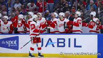 What is a dream offseason for the Red Wings?
