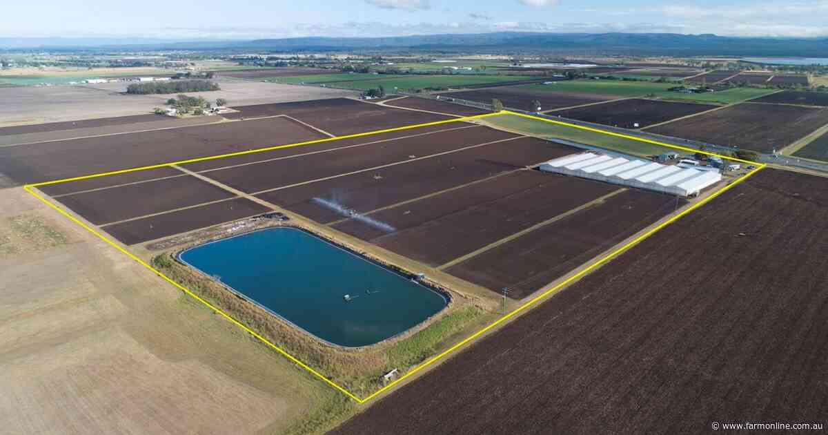 Outstanding south east Queensland horticultural operation for sale | Video