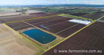 Outstanding south east Queensland horticultural operation for sale | Video