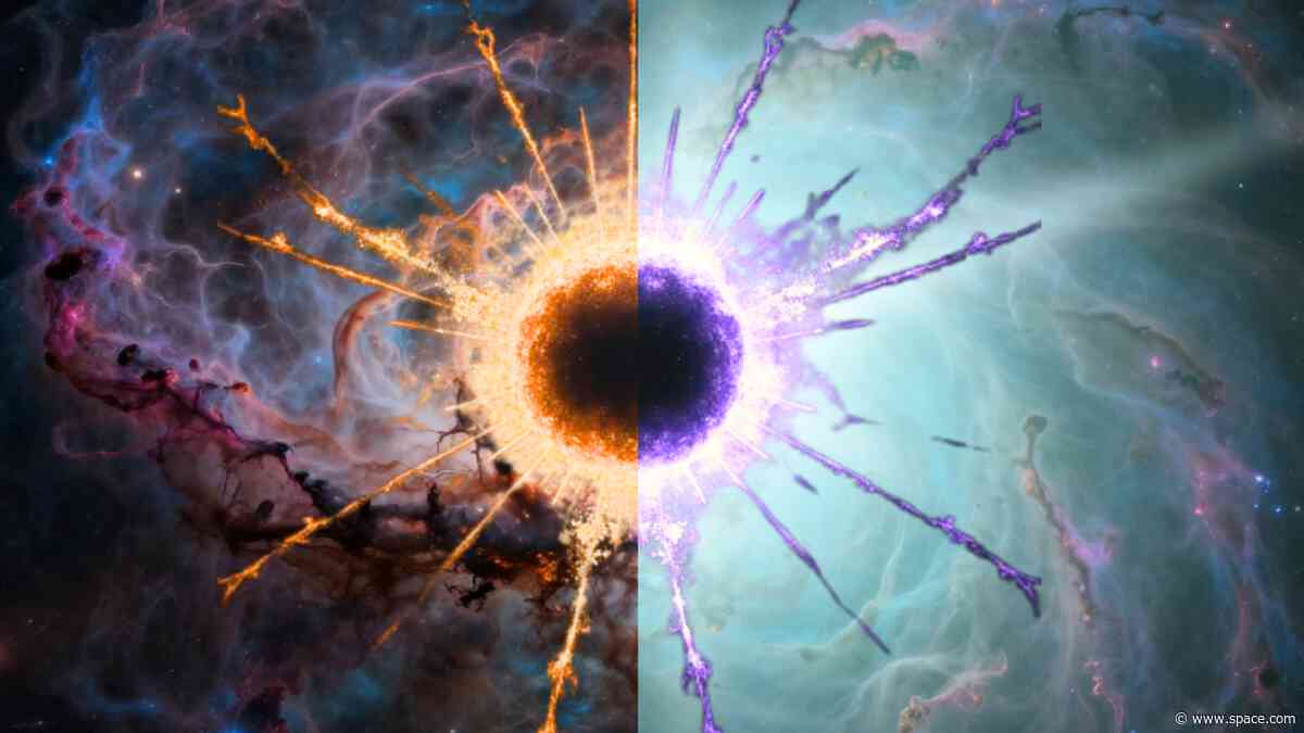 Can black holes turn into white holes? It's not such a crazy idea, scientists say