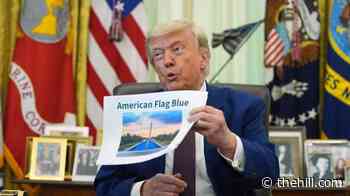 Trump says Reflecting Pool to be completed 'today'