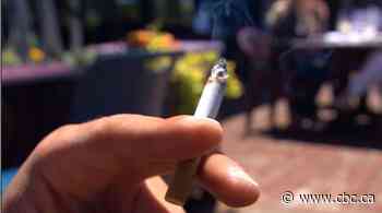 Health experts raise concerns about planned smoking sections at 3 Vancouver festivals