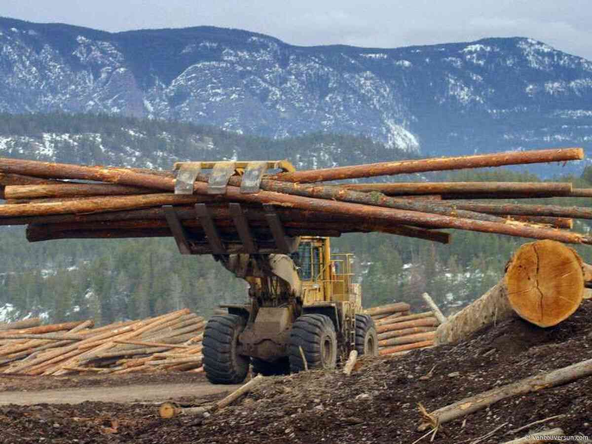 Opinion: CUSMA review is B.C.'s best chance to resolve the softwood lumber dispute