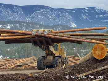 Opinion: CUSMA review is B.C.'s best chance to resolve the softwood lumber dispute