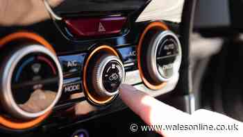 Drivers finally realising what bended arrow button in car is for