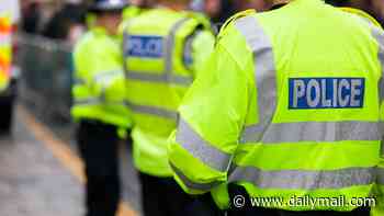The Morning Poll: Does Britain have 'two-tier policing' based on race?
