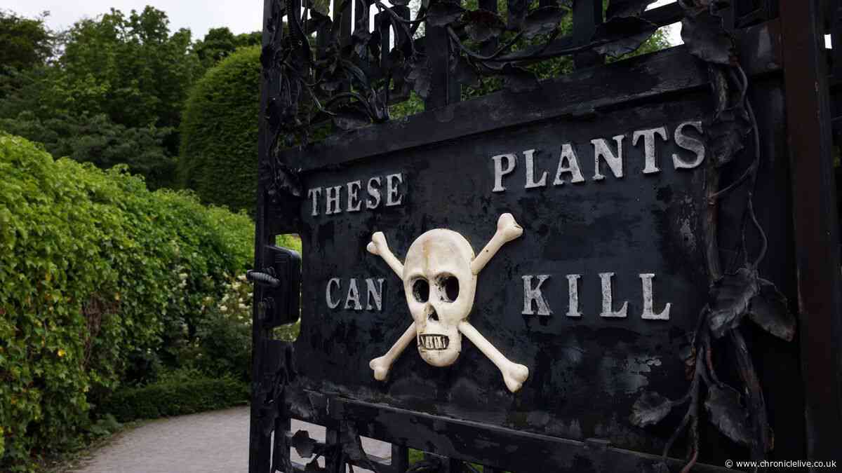 Alnwick Garden celebrates 25th anniversary as report reveals £400m impact