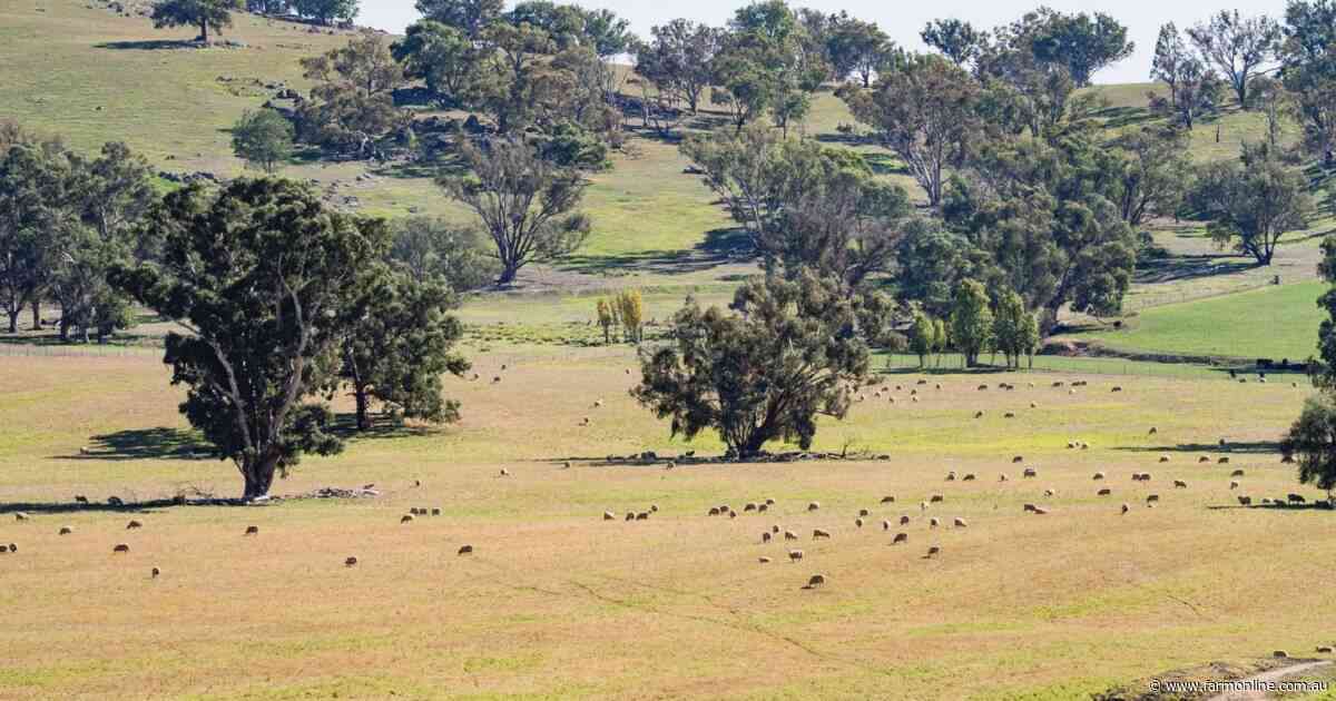 Highly productive country with reliable rainfall, fertile country | Video