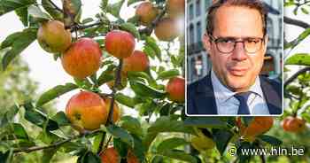 Economisch smullen: Chinese markt opent eindelijk voor Belgische appels na “historisch akkoord”