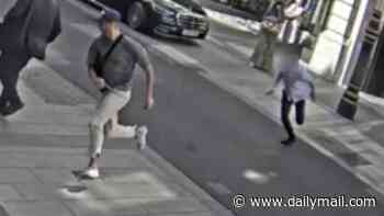 Ex-karate champion who stole £70,000 Patek Philippe from businessman as he strolled through London is jailed - after trying to flee the country