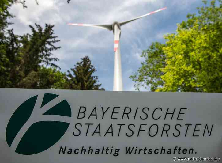 Vier neue Windparks in den Staatsforsten geplant