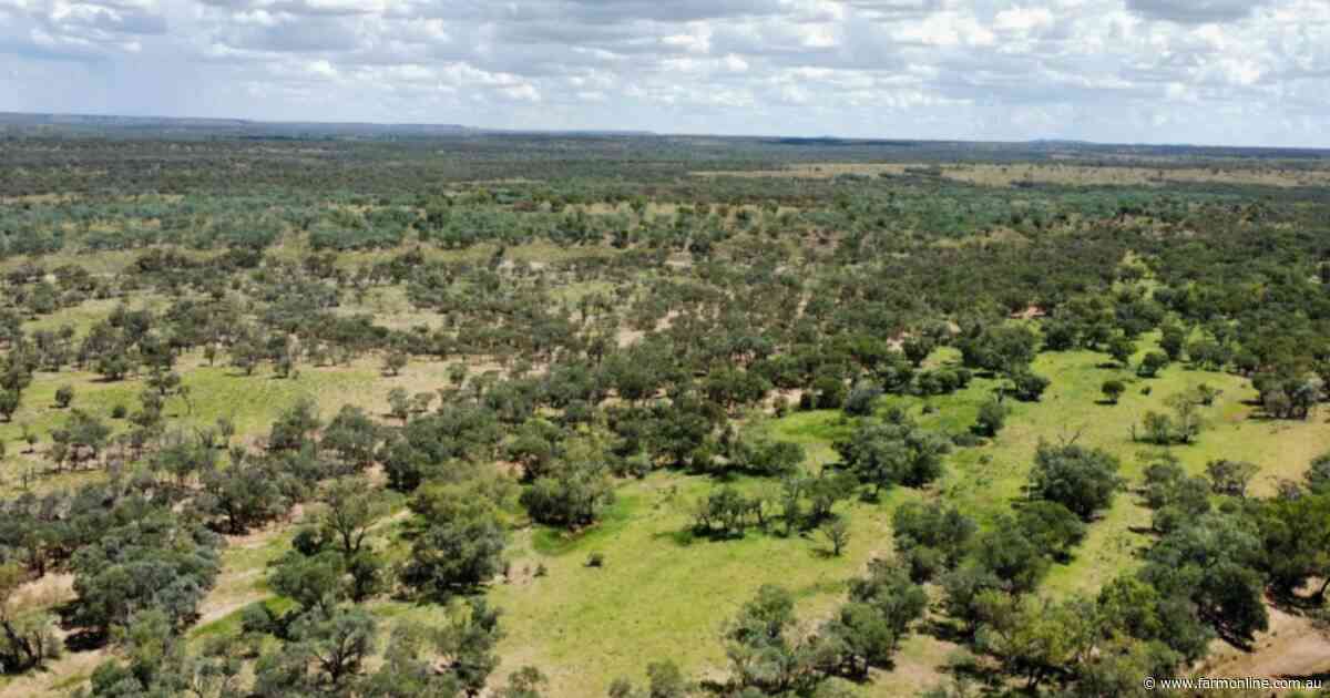 Large scale calf factory with impressive flood-out country sold at auction