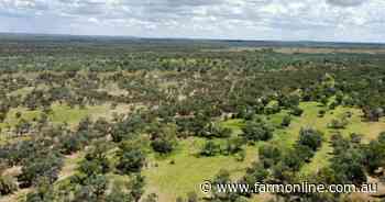 Large scale calf factory with impressive flood-out country sold at auction