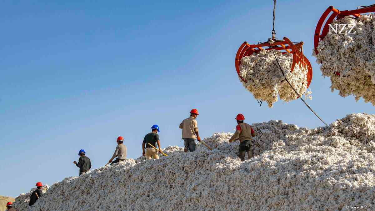 T-Shirts, Tomaten, Solarmodule: Vor allem in Asien ist Zwangsarbeit weit verbreitet