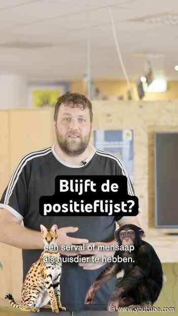 Blijft de positieflijst bestaan?