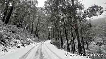 Millions of Aussies to brace for wild winter blast with blizzards, 90km/hour winds and 'abnormally' high tides