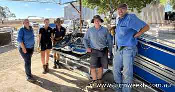 Unlocking productivity: the push for better, accurate shedding sheep data