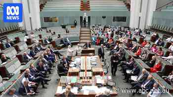 Live: Lower house passes first tranche of Labor's budget measures
