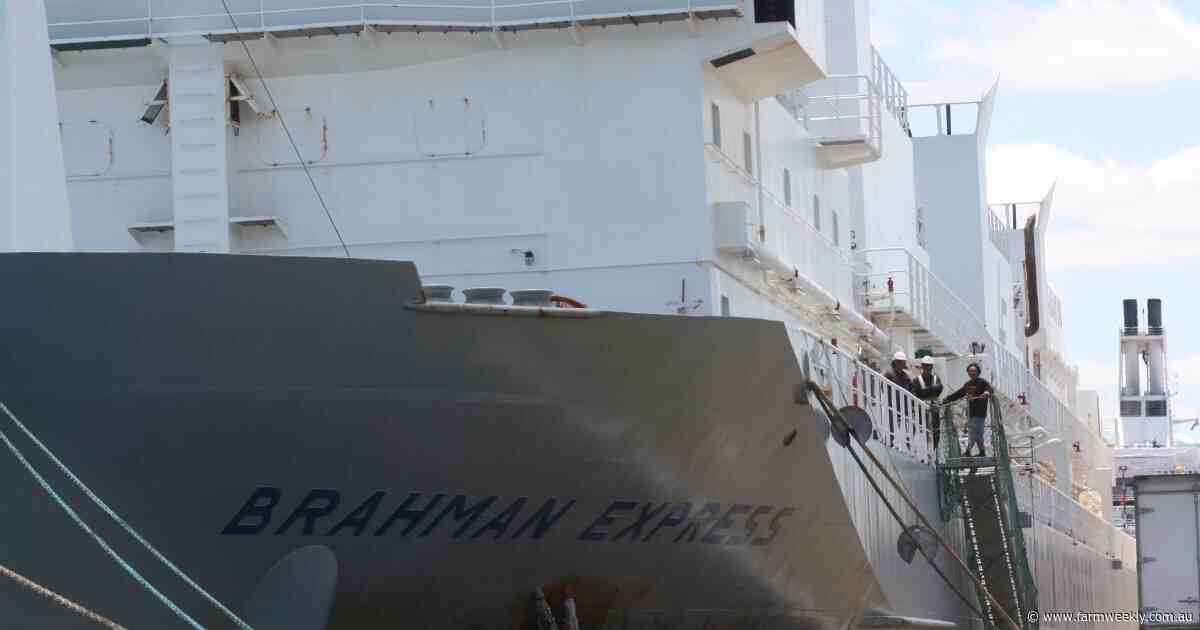 Live exporters call for immediate commencement of night-time inspections