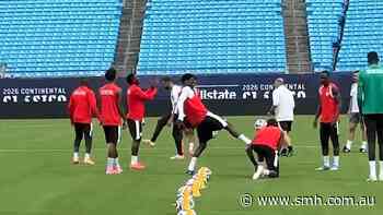 Viral clip raises alarm over World Cup surfaces