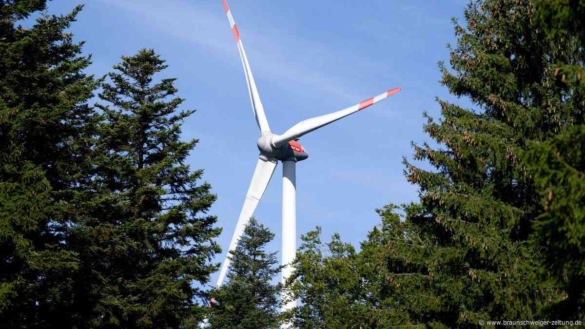 Wie viel Platz ist noch für mehr Windkraft im Landkreis Gifhorn?