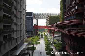 Design beyond biophilia: 2026 Dulux Study Tour, Singapore