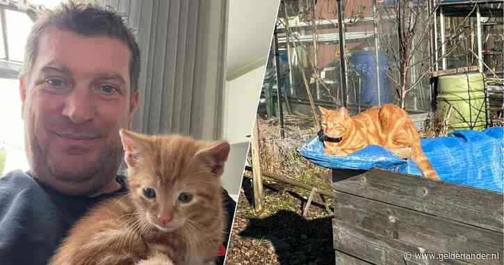 Kat Oscar vermist: ‘Tracker gaf aan dat hij met 20 kilometer per uur door Dordrecht ging’