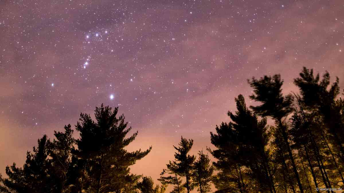 Kein Geben und Nehmen? 3 Sternzeichen sollten im Juni eine Freundschaft beenden