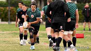 Today's rugby news as Springboks legend announces signing of Wales international