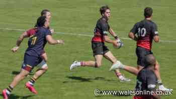 'Exciting' Welsh-qualified full-back signs for Scarlets and joins Wales star cousin