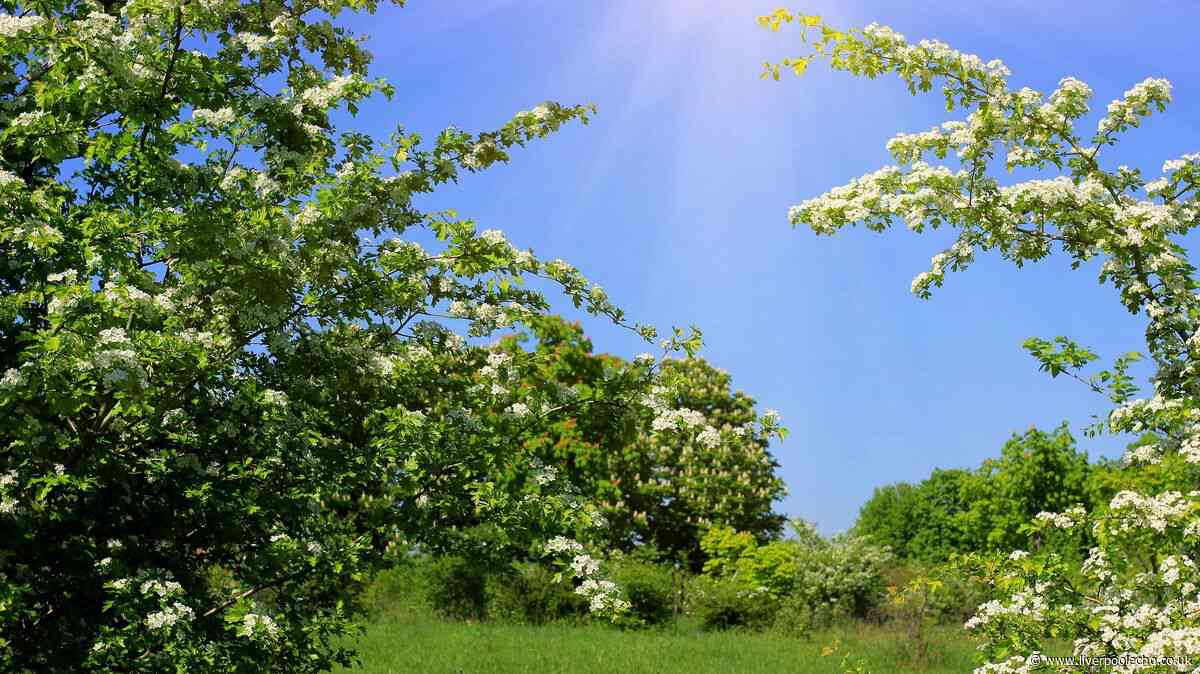 Sign in nature we've all seen shows hot weather is here for summer
