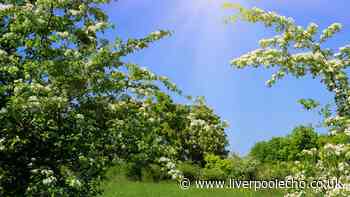 Sign in nature we've all seen shows hot weather is here for summer