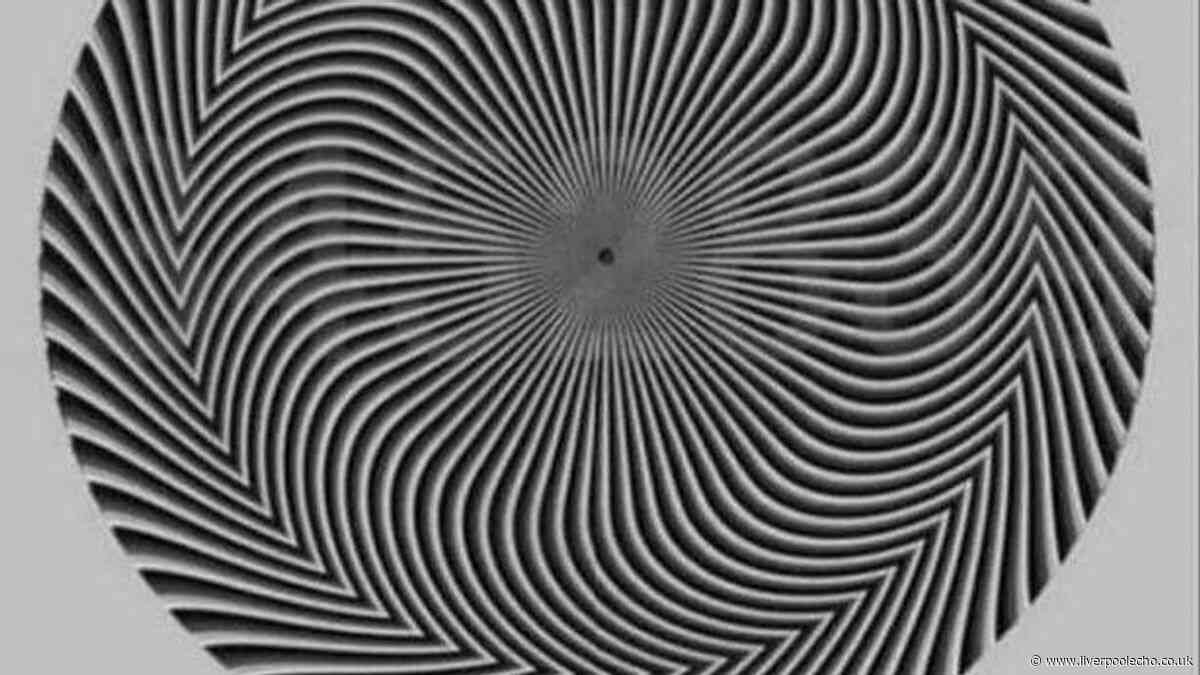 People can't agree on hidden number inside optical illusion