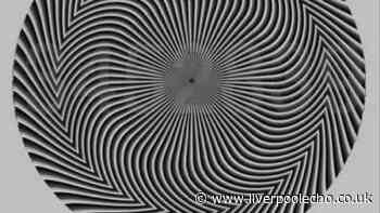 People can't agree on hidden number inside optical illusion
