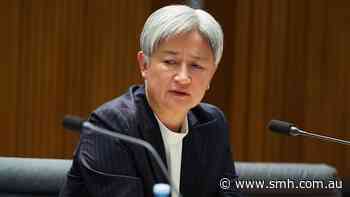 Wong says she believes Australian activists were sexually abused by Israeli soldiers