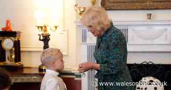 Gravely ill little boy tells Queen 'what a happy event' as Camilla spends the day meeting sick Welsh children