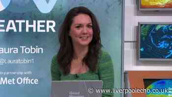 GMB's Laura Tobin congratulated by hosts after major achievement as fans support her