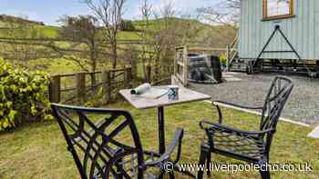 'Scenic' Welsh dog-friendly glamping pod has prices slashed for summer